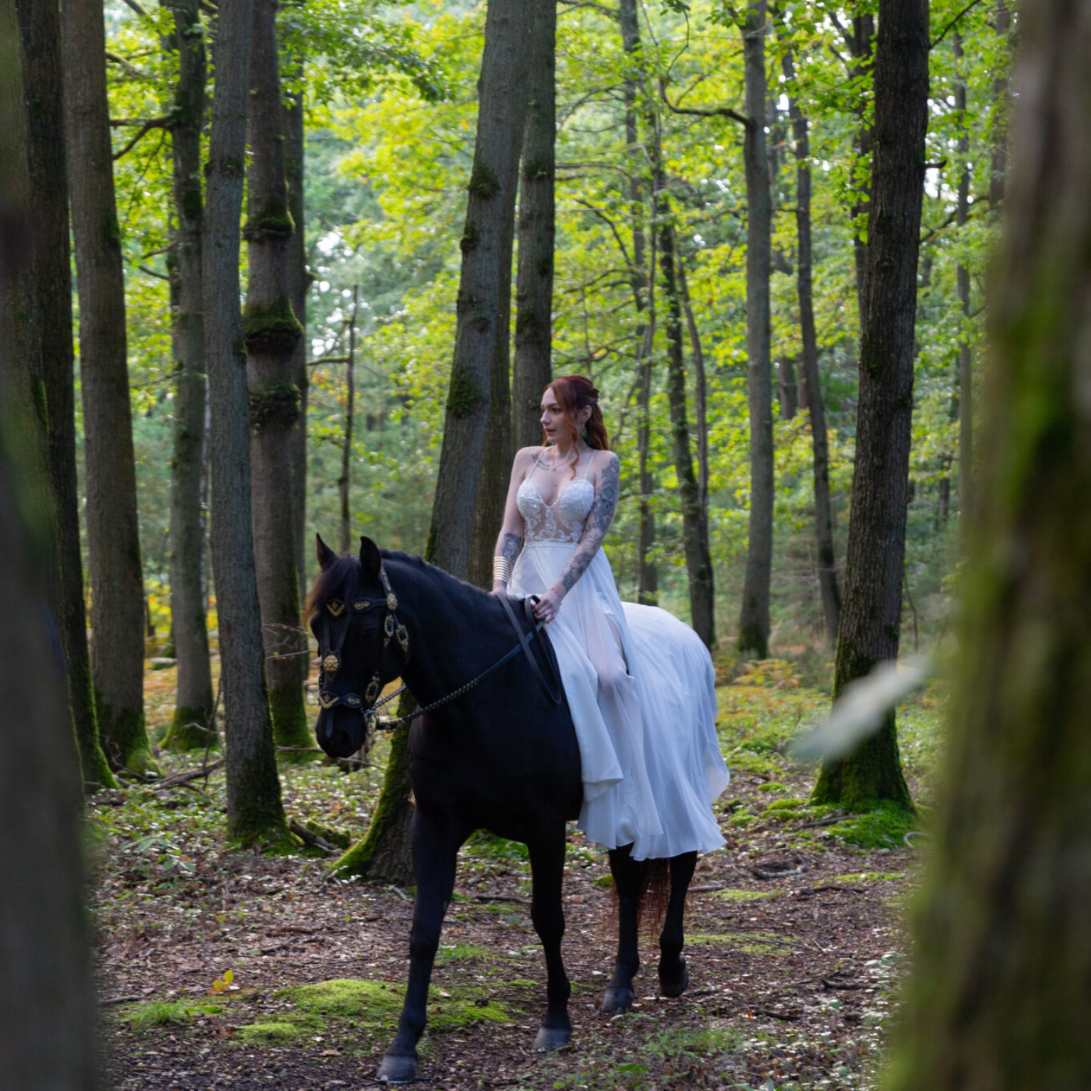 La roche couloir, mariage automnal, arrivée de la mariée à cheval