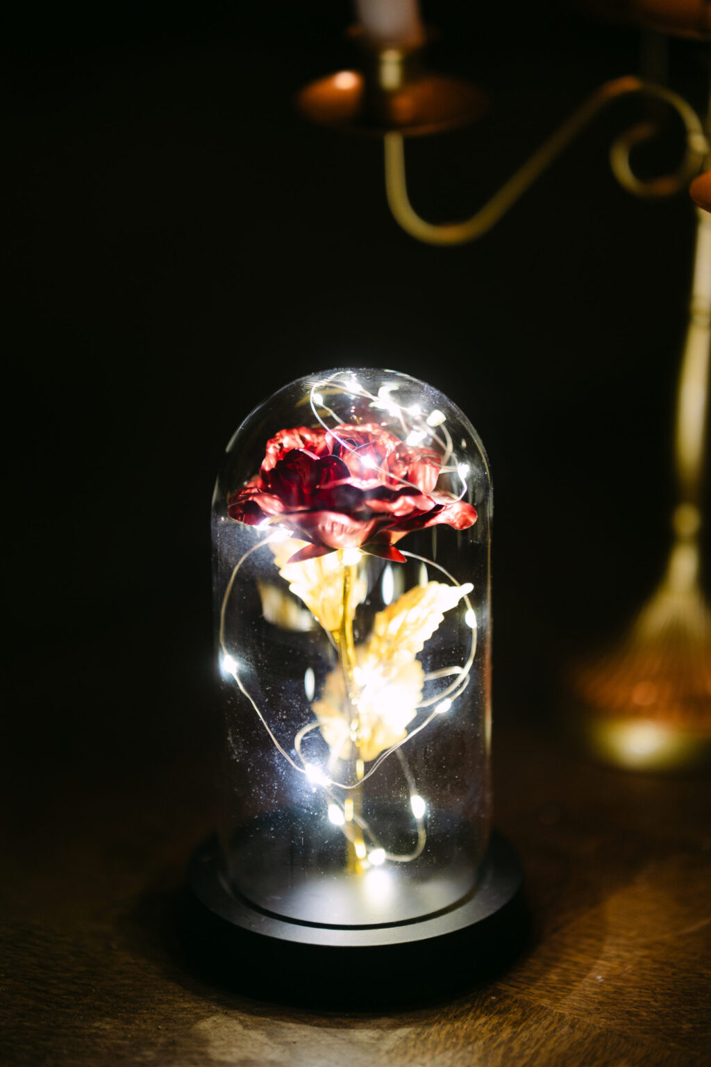 Capture d'une rose sous cloche pour mariage féérique