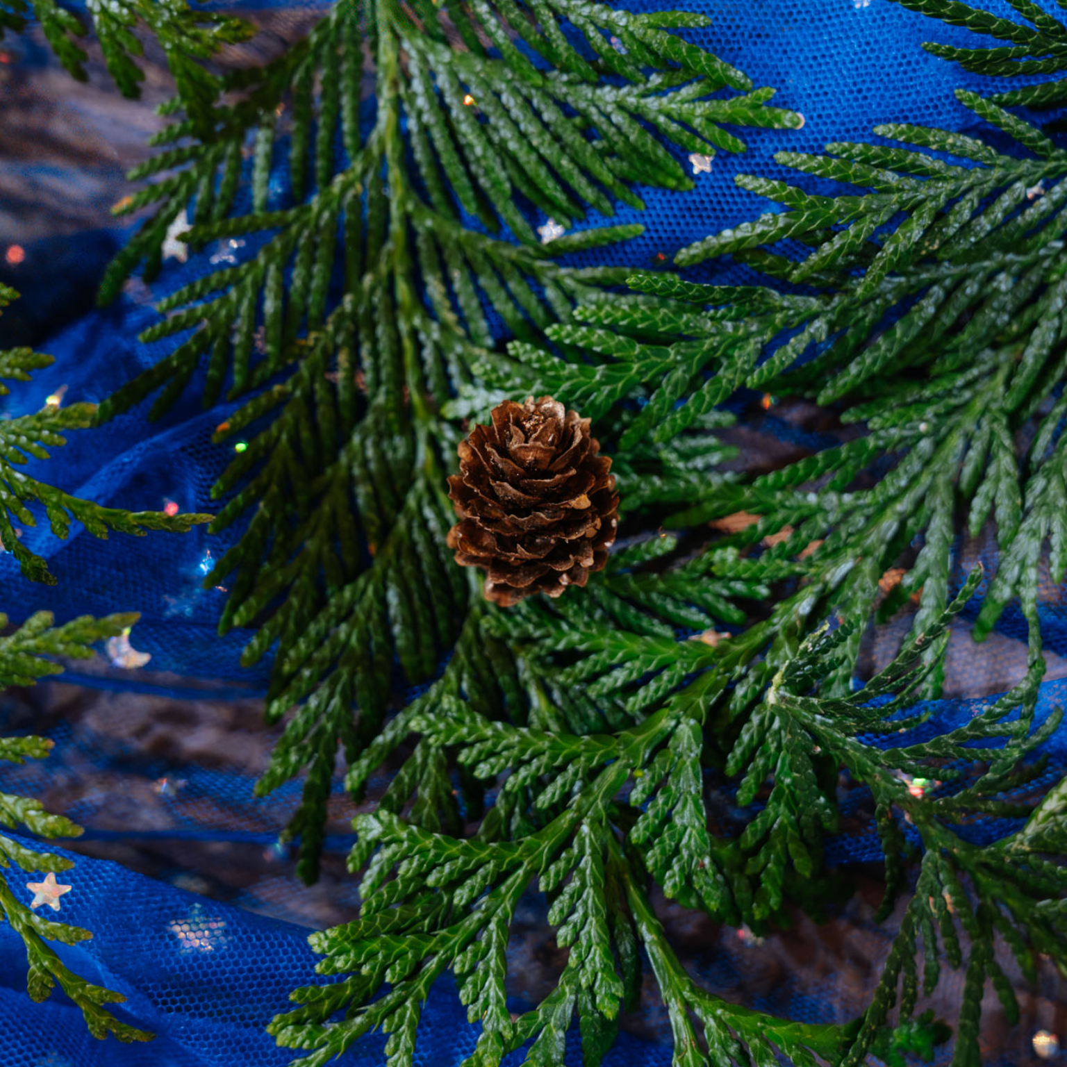 Décoration table de mariage