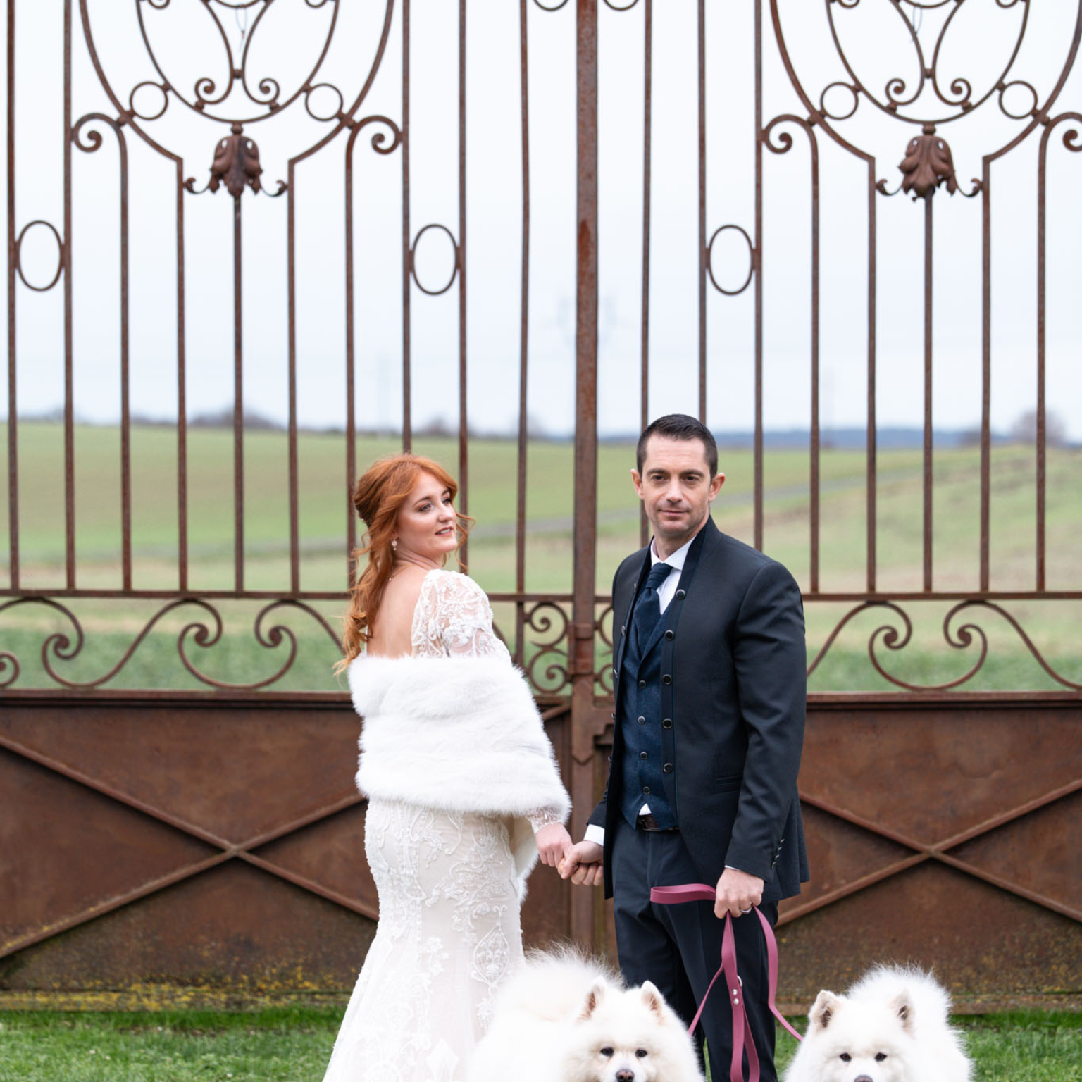 Mariés, portail chateau, chiens