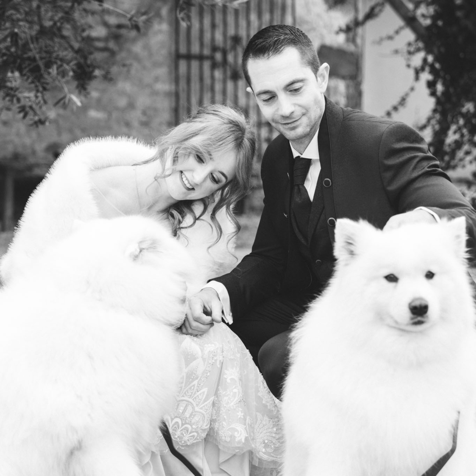 Mariés, chiens, jeux