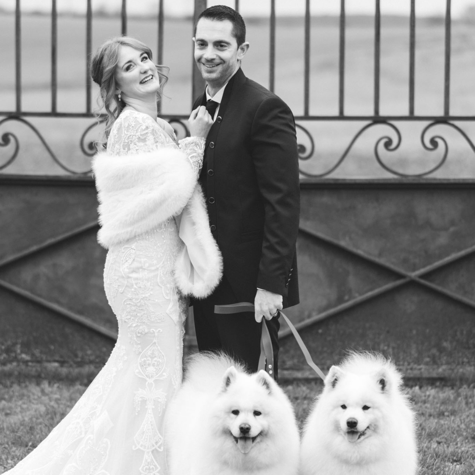 Mariés, chiens, portail chateau