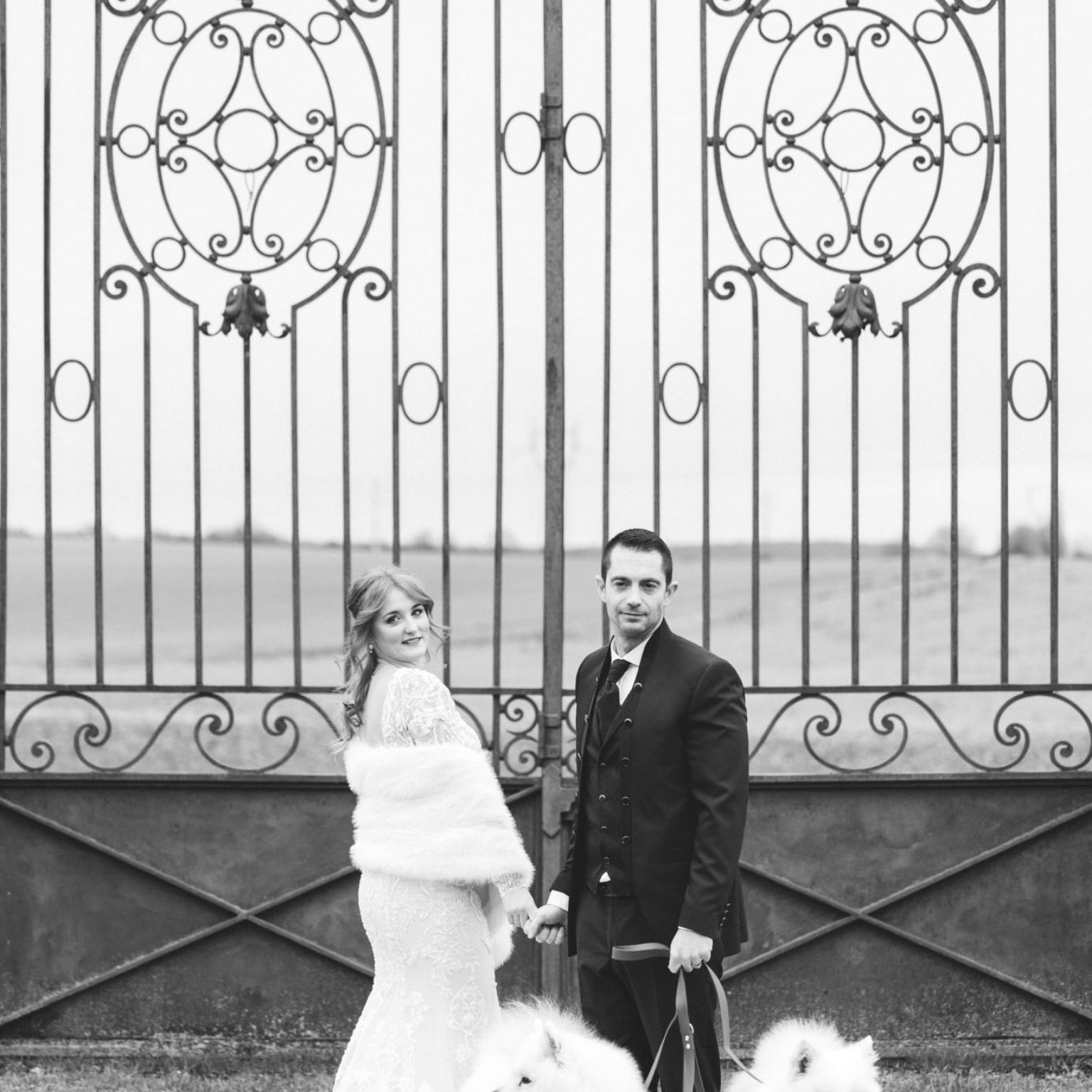 Mariés, chiens, portail chateau